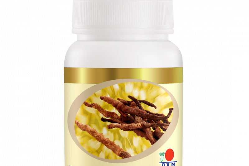 Cordyceps-Powder-30g